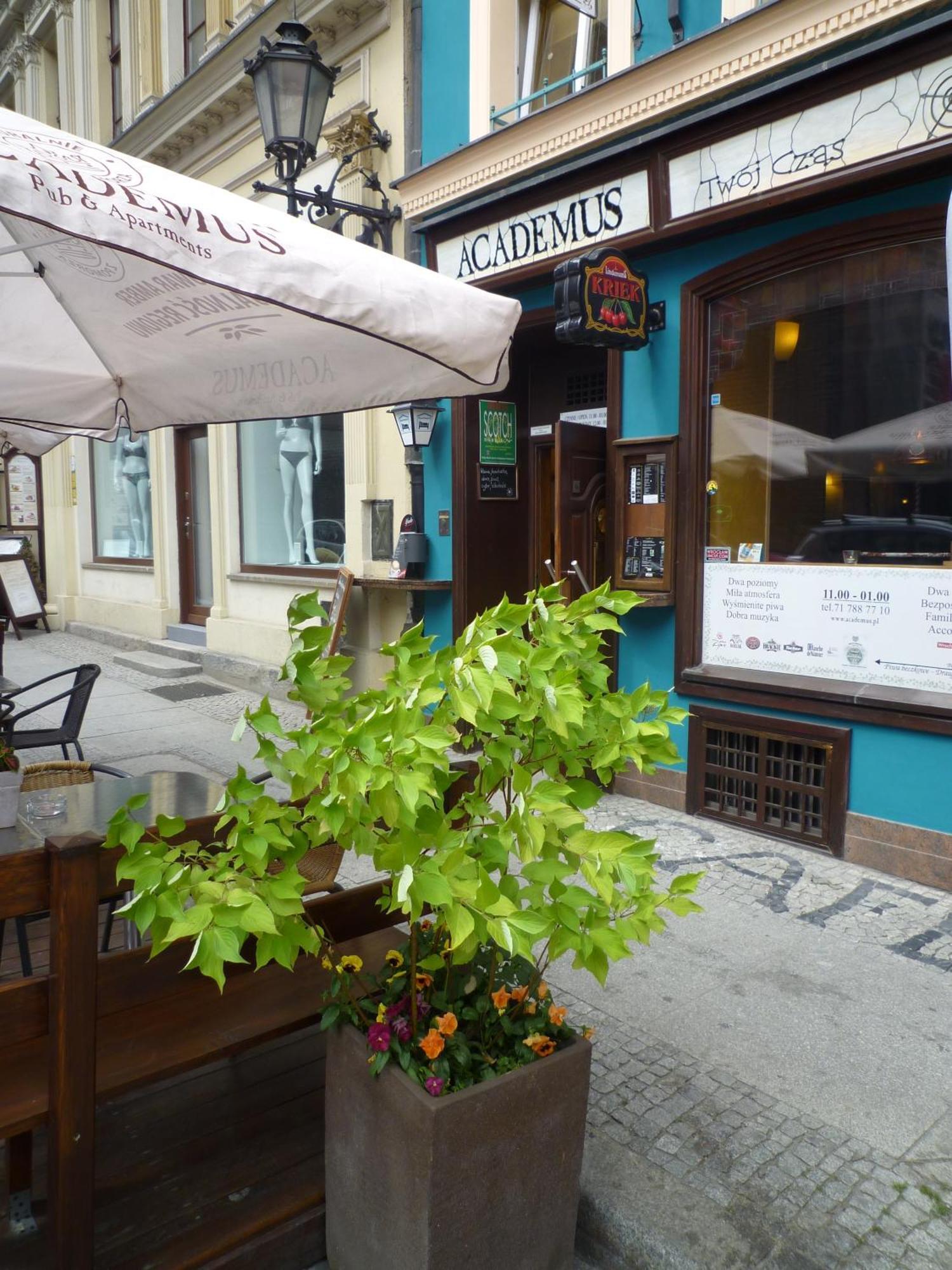 Academus Pub & Guest House Βρότσλαβ Εξωτερικό φωτογραφία
